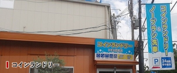 �R�C�������h���[�@�K�i�b�v